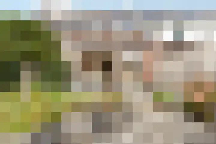 Mispel 5 Nijkerk thumbnail 20