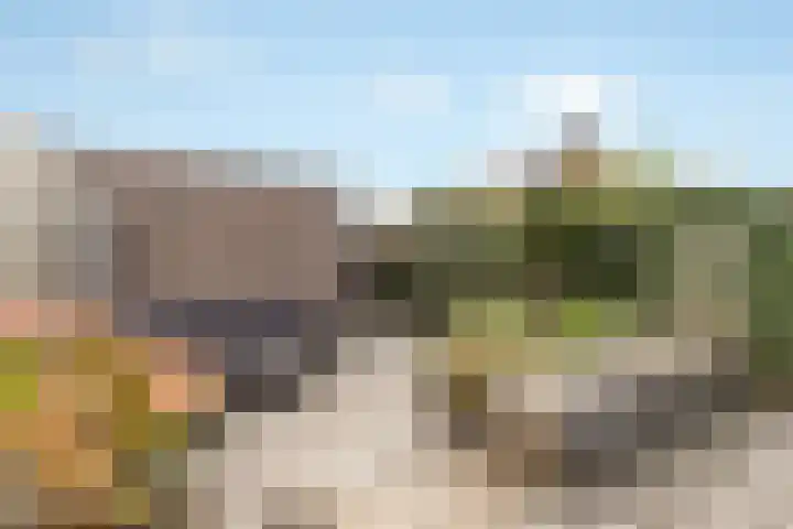 Mispel 5 Nijkerk thumbnail 22