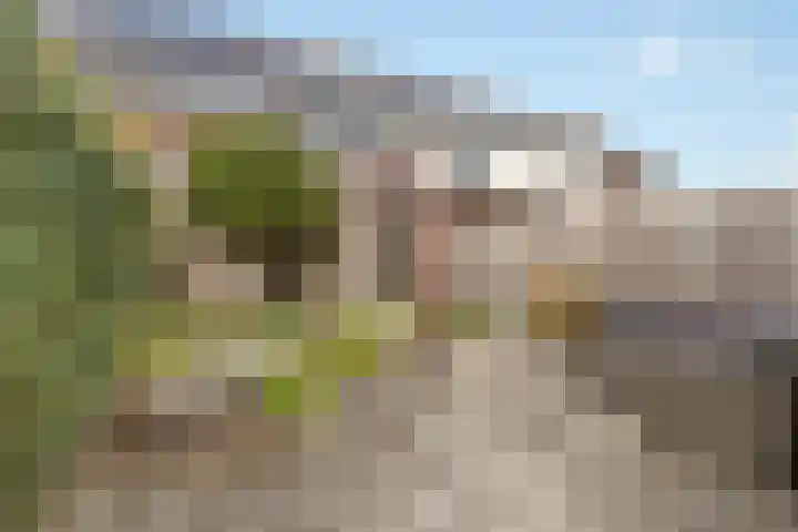 Mispel 5 Nijkerk thumbnail 4