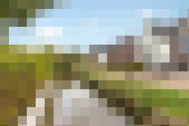 Mispel 5 Nijkerk thumbnail 5