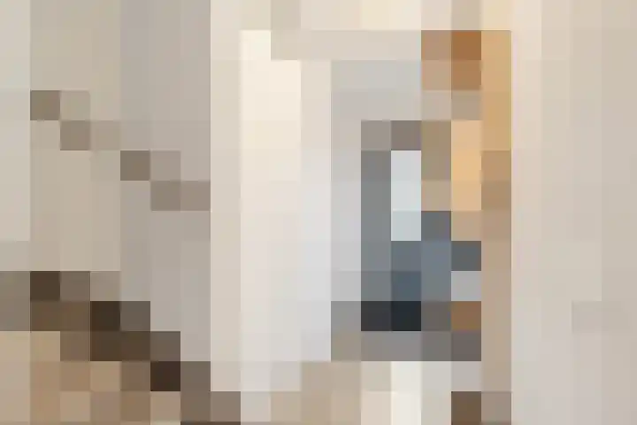 Mispel 5 Nijkerk thumbnail 6
