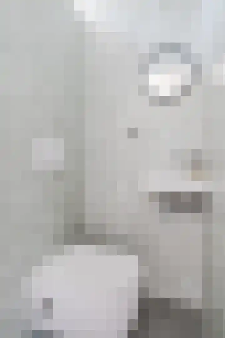 Mispelaar 11 Geldrop thumbnail 20
