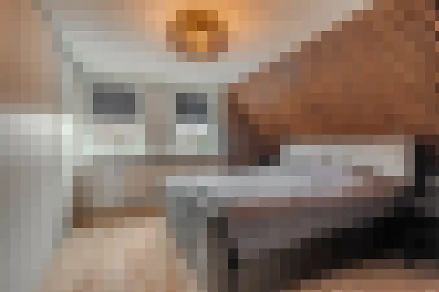 Mispelaar 11 Geldrop thumbnail 26