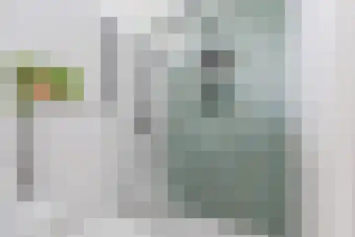 Mispelaar 11 Geldrop thumbnail 27