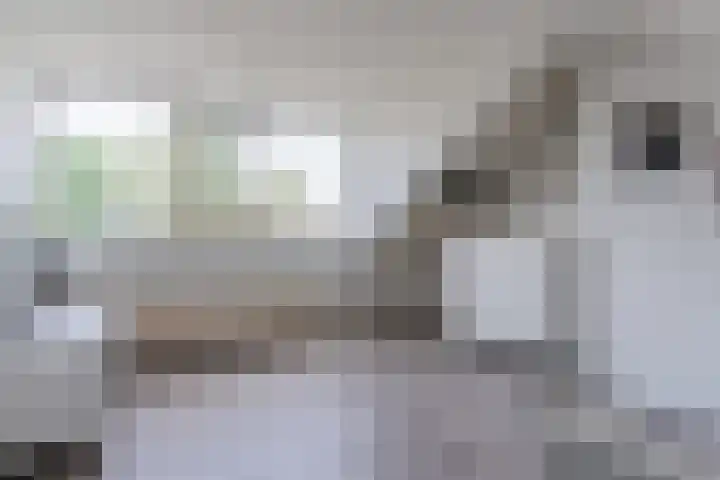 Mispelaar 11 Geldrop thumbnail 30