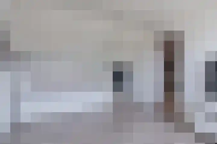 Mispelaar 11 Geldrop thumbnail 31