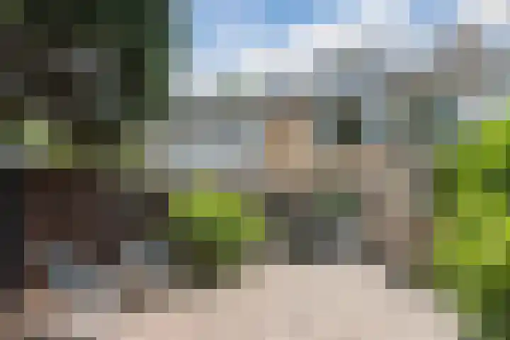 Mispelaar 11 Geldrop thumbnail 34