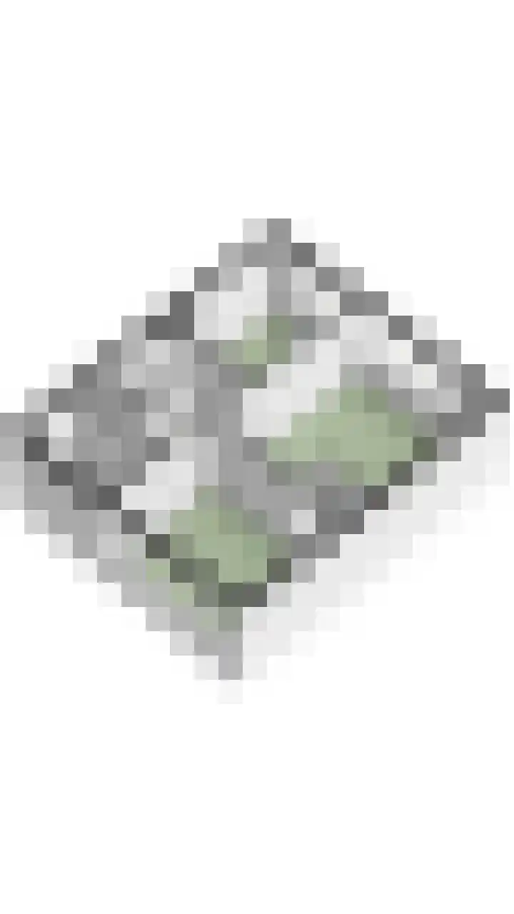 Mispelaar 11 Geldrop thumbnail 45
