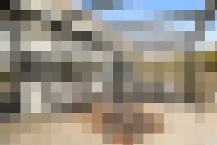 Mispelaar 11 Geldrop thumbnail 48