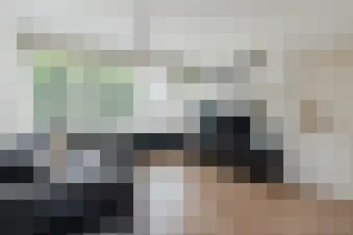 Mispelaar 11 Geldrop thumbnail 6