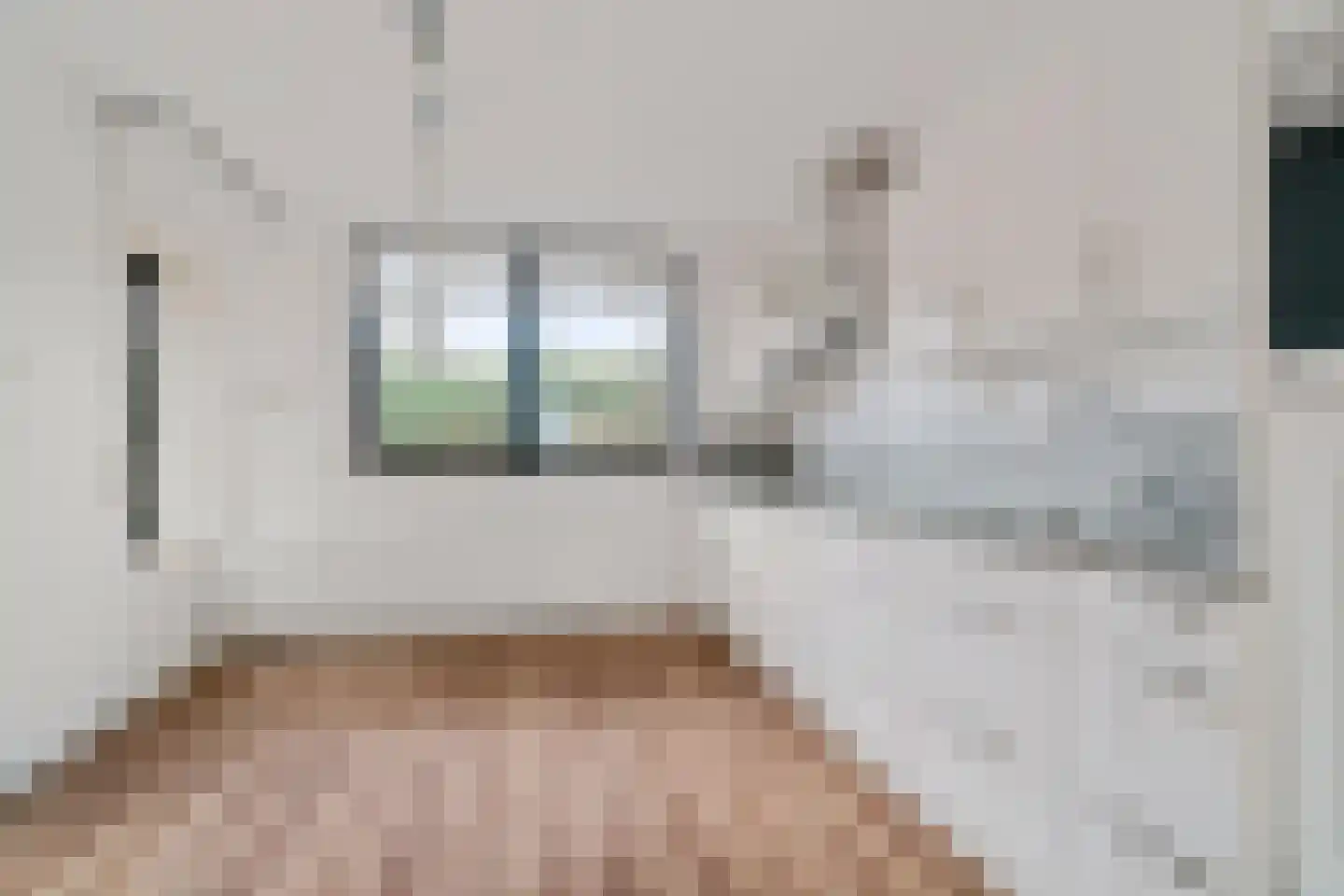 Mispelboom 24 Holtum thumbnail 12
