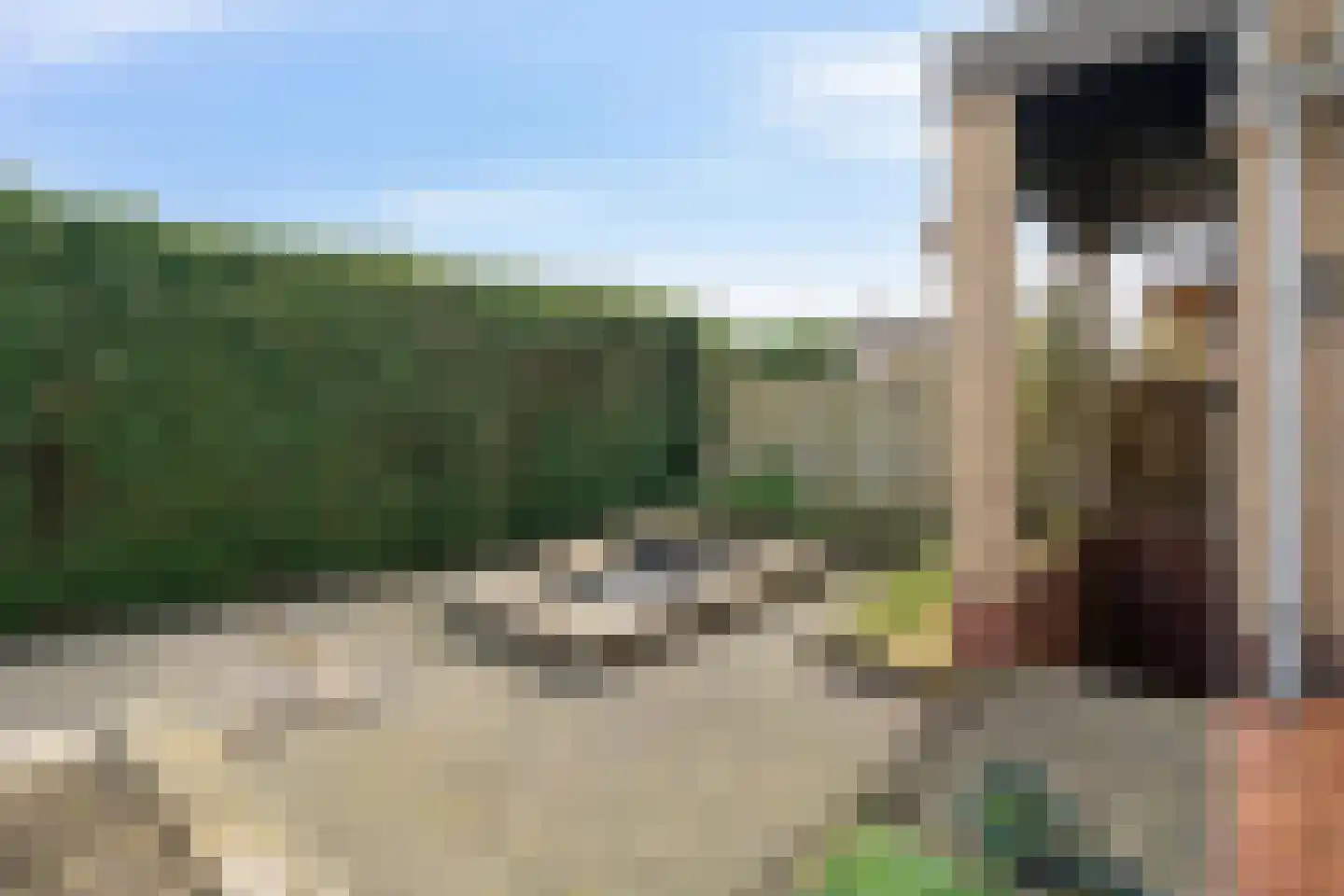 Mispelboom 24 Holtum thumbnail 18
