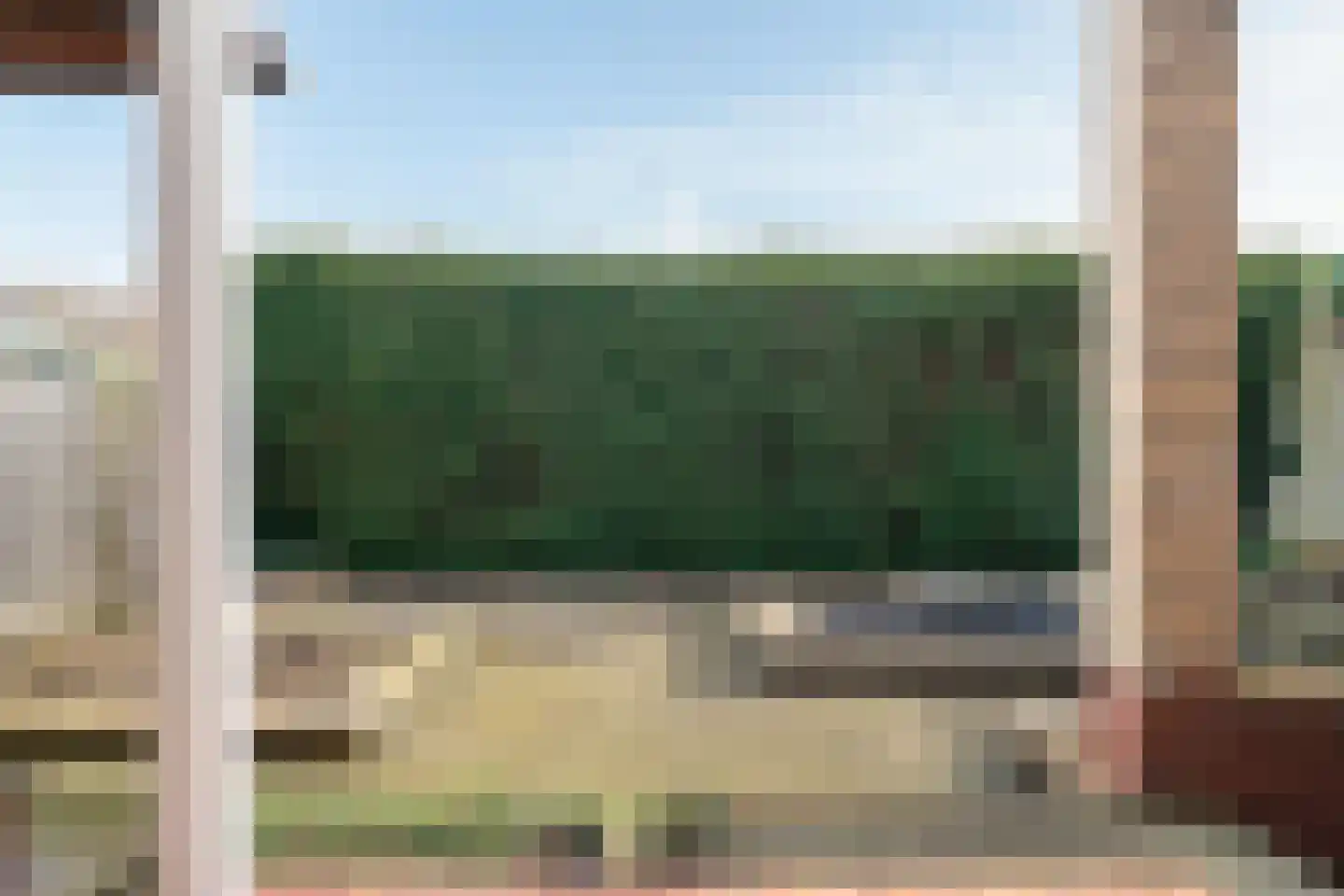 Mispelboom 24 Holtum thumbnail 20