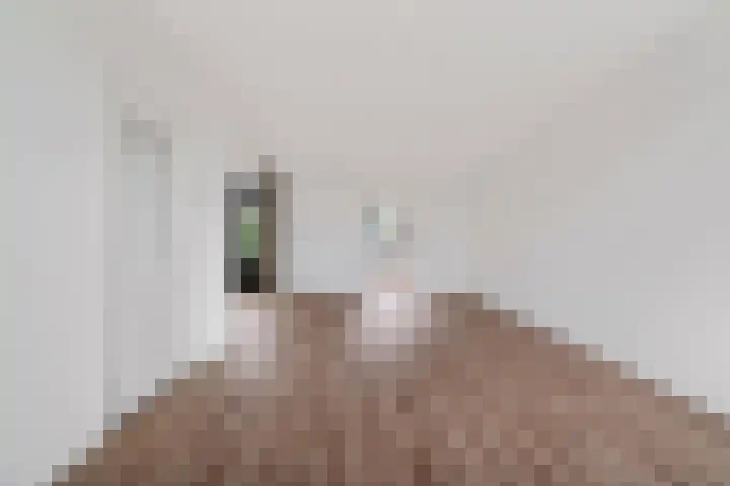 Mispelboom 24 Holtum thumbnail 9