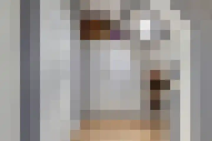 Mispeldreef 5 Arkel thumbnail 32