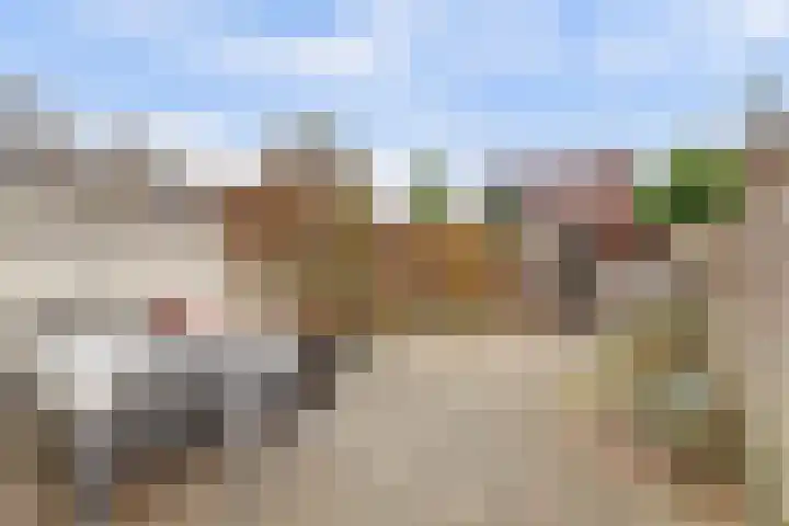Mispeldreef 5 Arkel thumbnail 4
