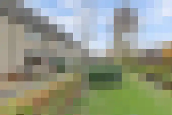 Mispeldreef 5 Arkel thumbnail 41