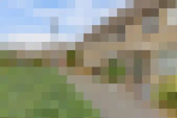 Mispeldreef 5 Arkel thumbnail 42