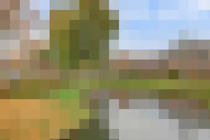 Mispeldreef 5 Arkel thumbnail 44