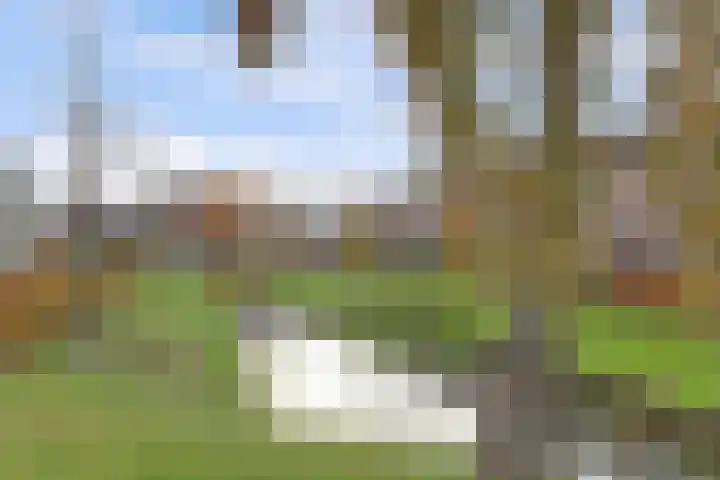 Mispeldreef 5 Arkel thumbnail 5