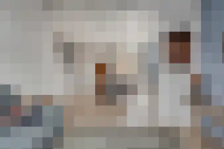 Mispeleind 1 Lage Mierde thumbnail 11
