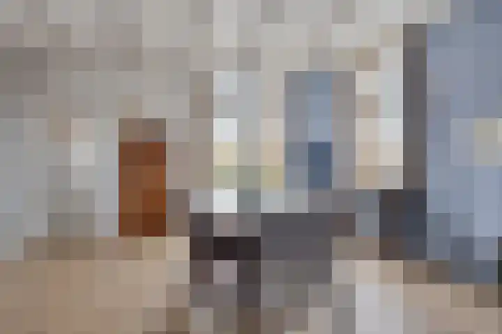 Mispeleind 1 Lage Mierde thumbnail 12