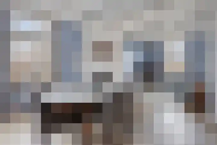 Mispeleind 1 Lage Mierde thumbnail 13