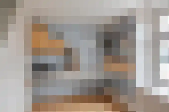 Mispeleind 1 Lage Mierde thumbnail 16