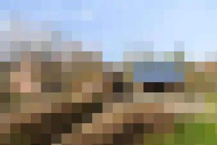 Mispeleind 1 Lage Mierde foto 2