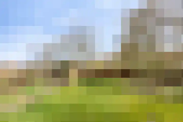 Mispeleind 1 Lage Mierde foto 3