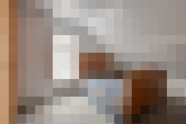 Mispeleind 1 Lage Mierde thumbnail 35