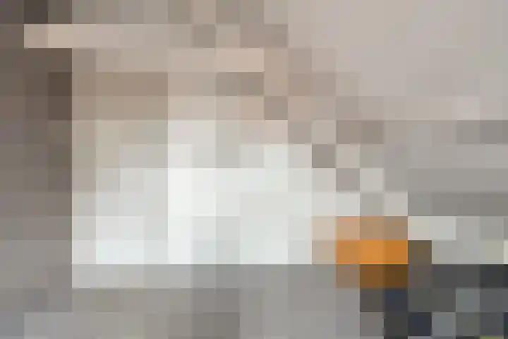 Mispeleind 1 Lage Mierde thumbnail 38