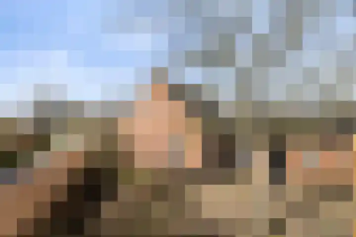 Mispeleind 1 Lage Mierde thumbnail 39