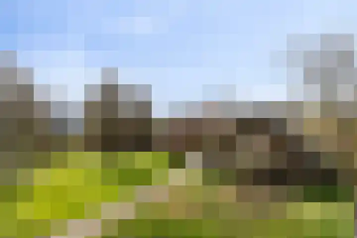 Mispeleind 1 Lage Mierde thumbnail 40