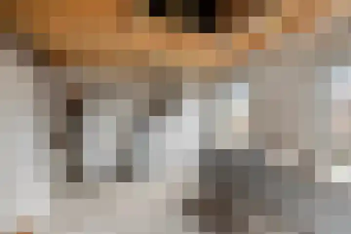 Mispeleind 1 Lage Mierde thumbnail 48