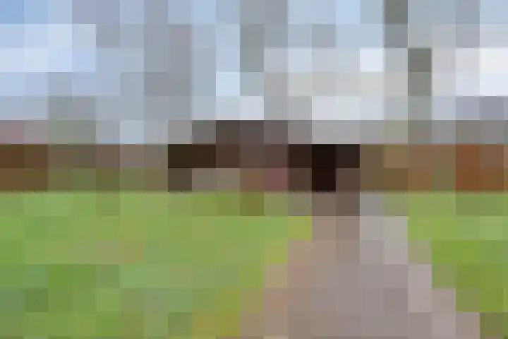 Mispeleind 1 Lage Mierde thumbnail 51