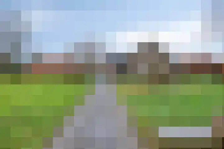 Mispeleind 1 Lage Mierde thumbnail 52