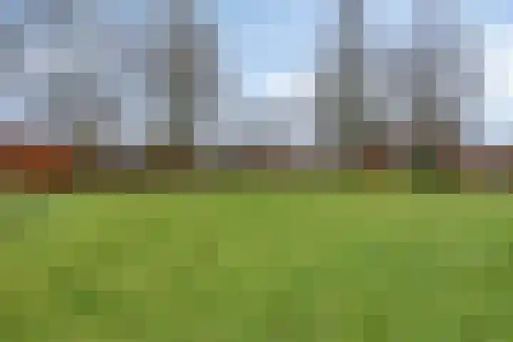 Mispeleind 1 Lage Mierde thumbnail 53