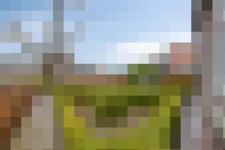 Mispeleind 1 Lage Mierde thumbnail 54