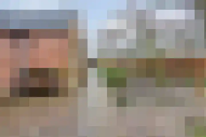 Mispeleind 1 Lage Mierde thumbnail 56