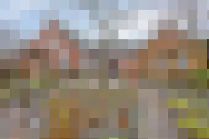 Mispeleind 1 Lage Mierde thumbnail 59