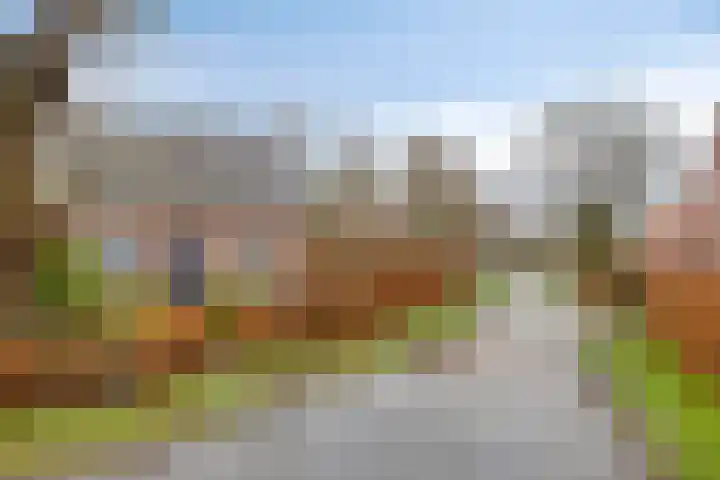 Mispeleind 1 Lage Mierde thumbnail 64