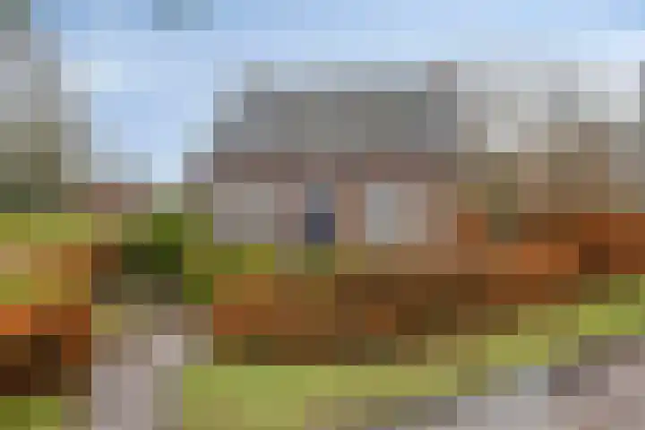 Mispeleind 1 Lage Mierde thumbnail 65