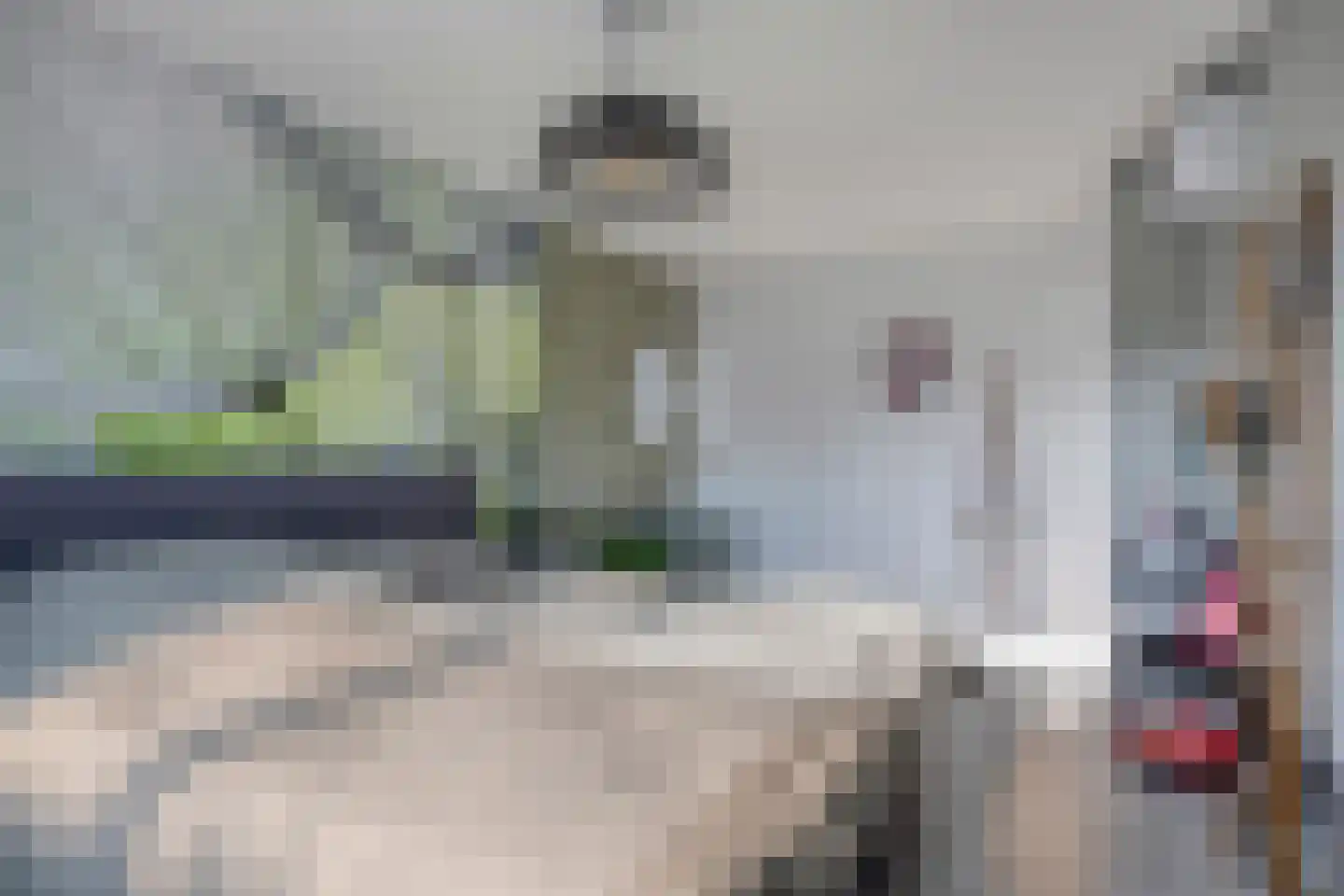 Mispeleindsingel 1 Tilburg thumbnail 23