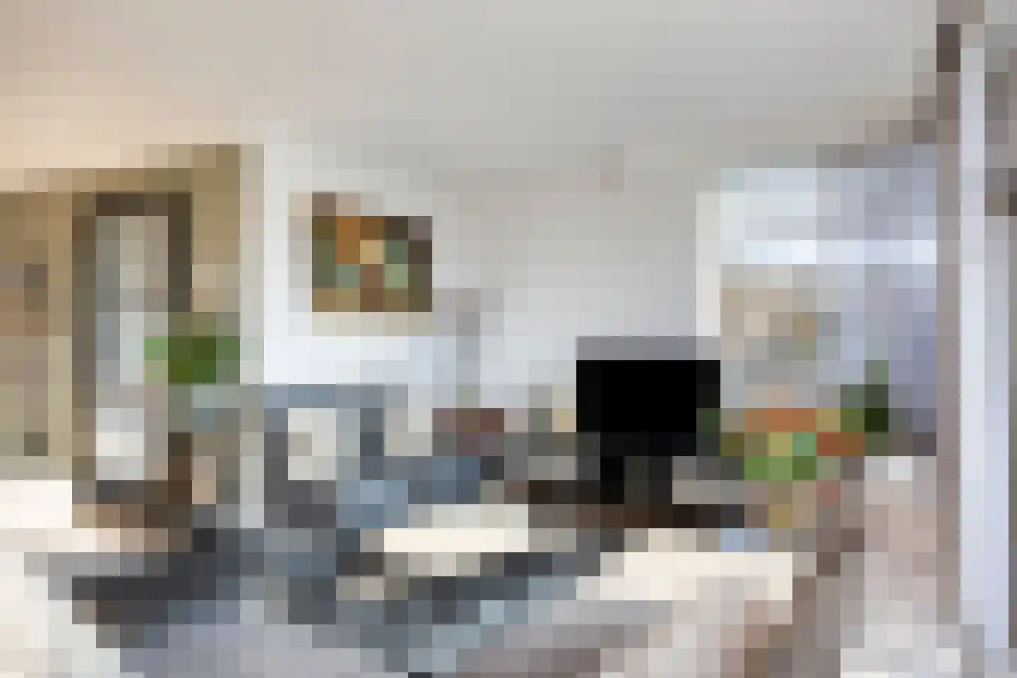 Mispeleindsingel 1 Tilburg thumbnail 8