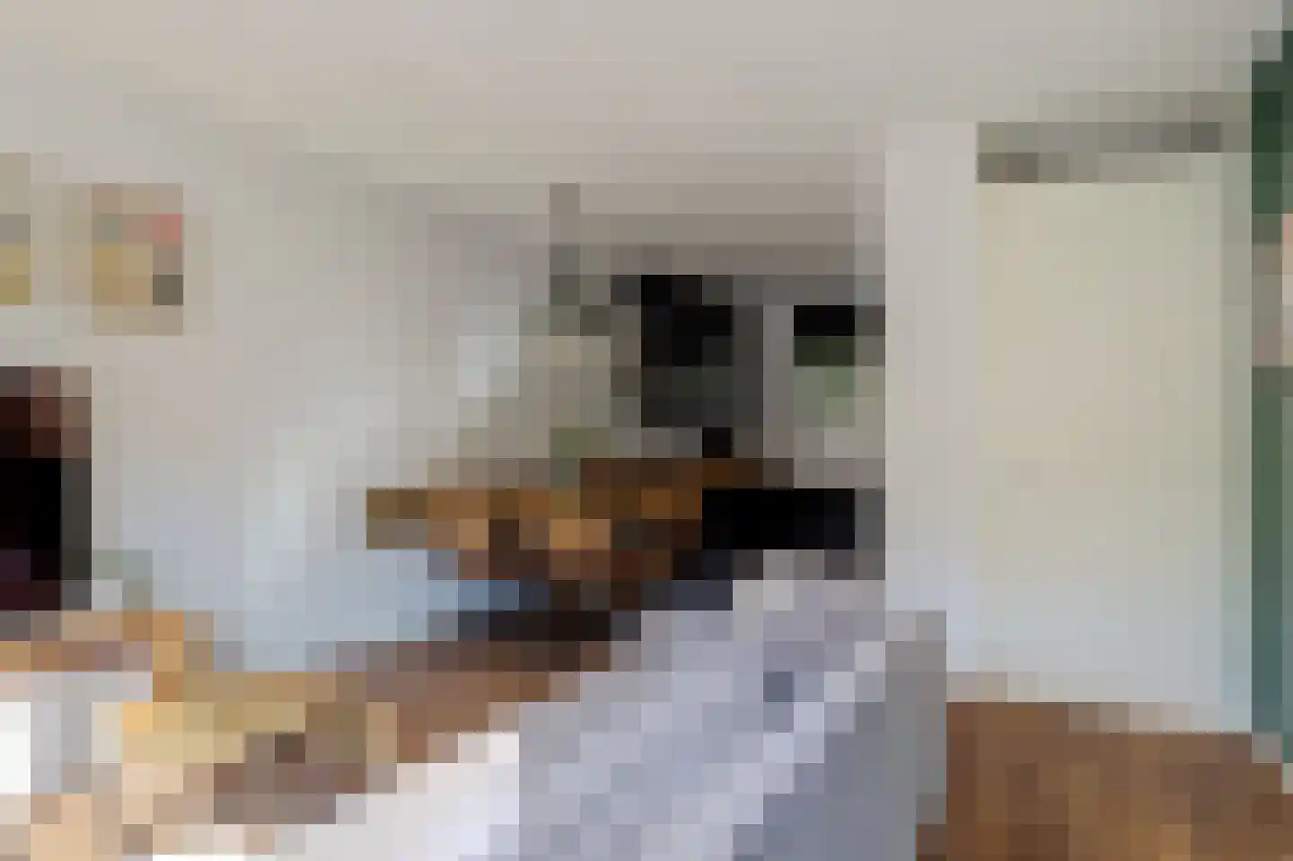 Mispelgaarde 14 Hendrik-Ido-Ambacht thumbnail 12
