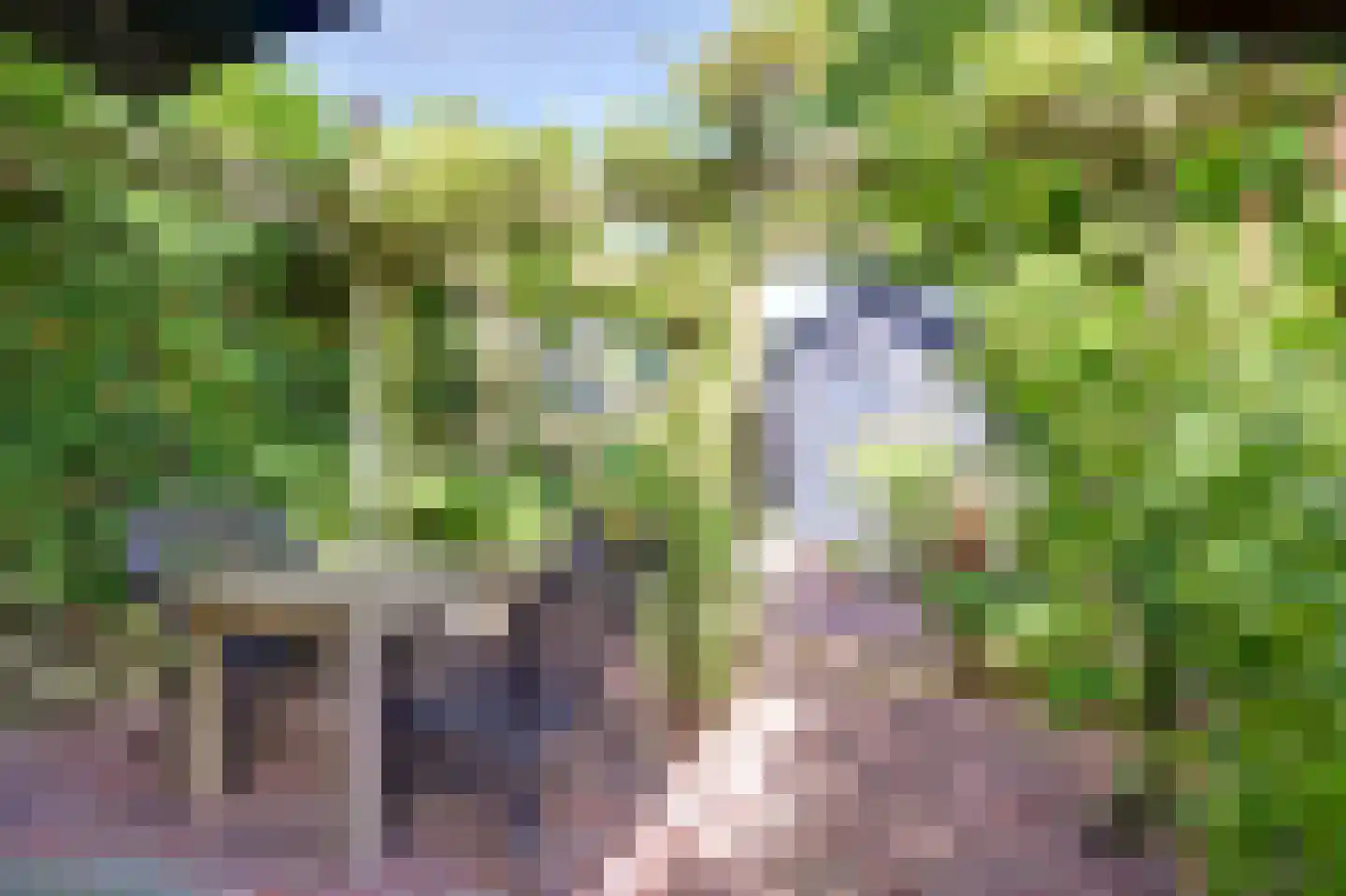 Mispelgaarde 15 Nieuwegein thumbnail 10