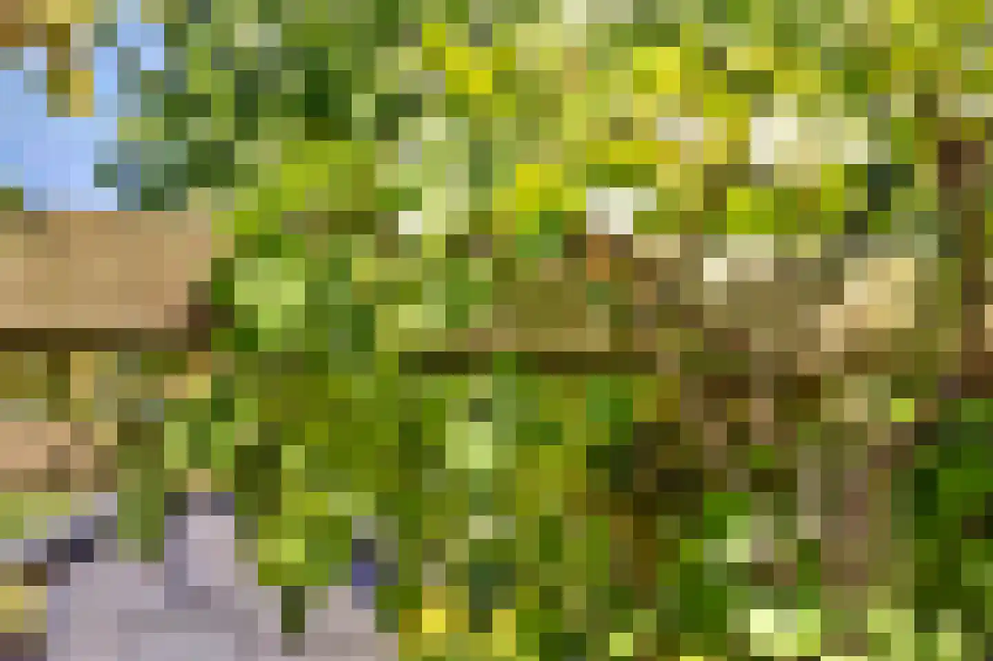 Mispelgaarde 15 Nieuwegein thumbnail 13