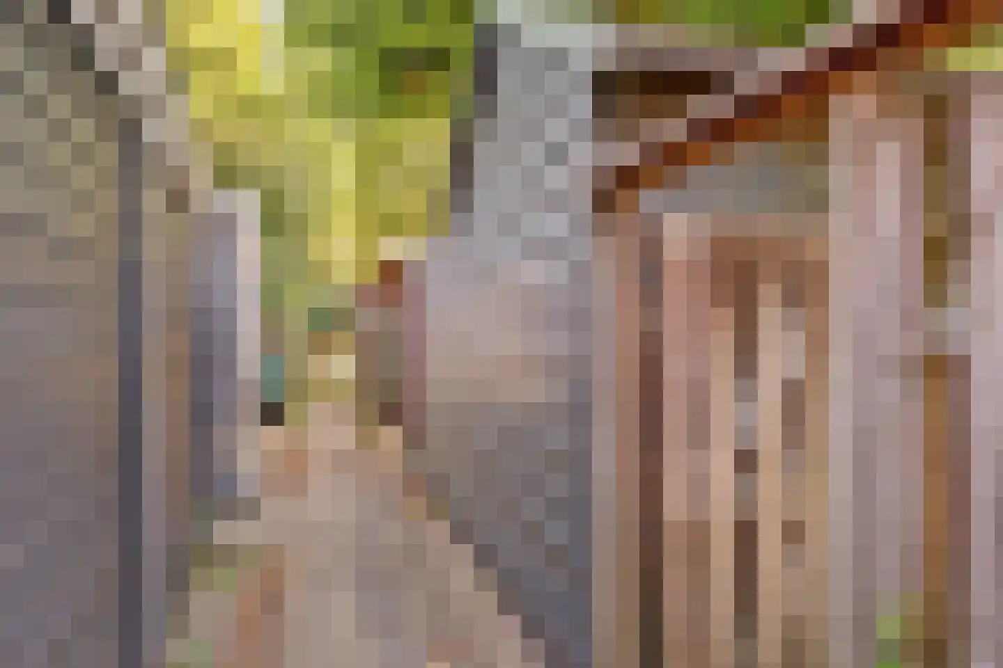 Mispelgaarde 15 Nieuwegein thumbnail 15