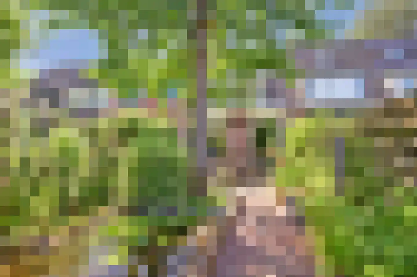 Mispelgaarde 15 Nieuwegein thumbnail 17